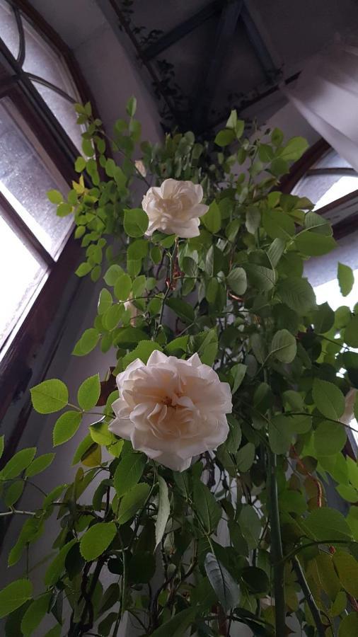 La Torre Di Pieve Hotel ปิเอเว ซานโต สเตฟาโน ภายนอก รูปภาพ