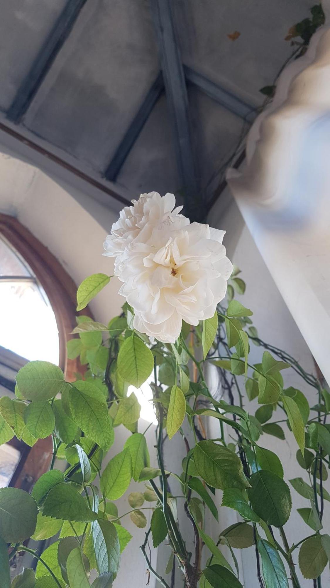 La Torre Di Pieve Hotel ปิเอเว ซานโต สเตฟาโน ภายนอก รูปภาพ